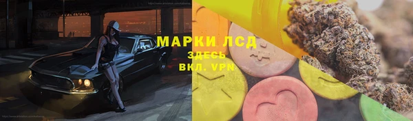 PSILOCYBIN Алексин
